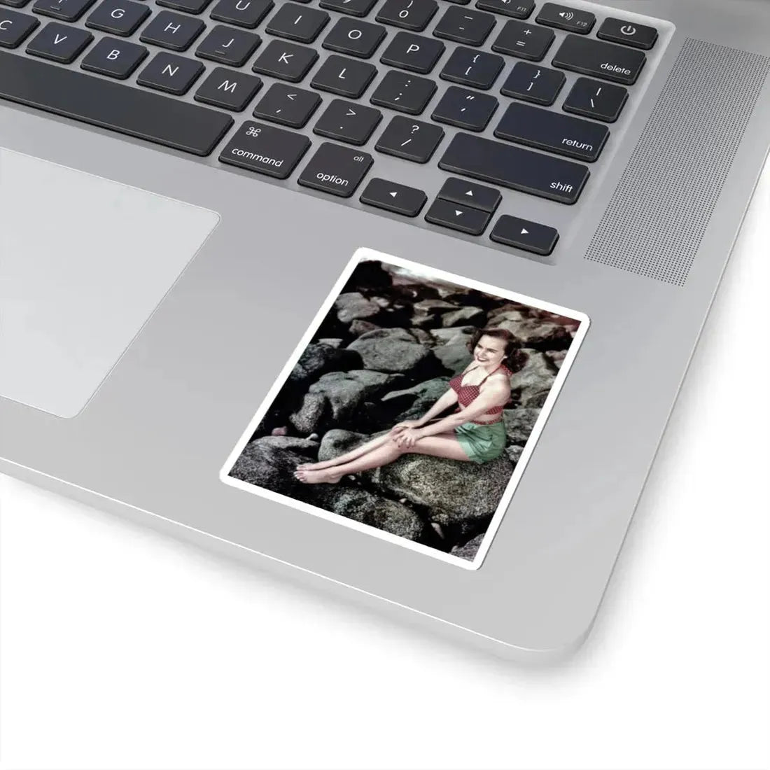 Terry Moore #279 (Vintage Female Icon) STICKER Vinyl Kiss-Cut Decal - The Sticker Space