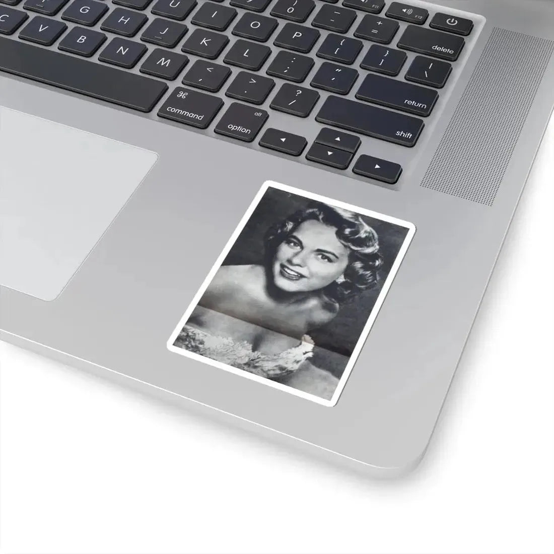 Terry Moore #280 (Vintage Female Icon) STICKER Vinyl Kiss-Cut Decal - The Sticker Space