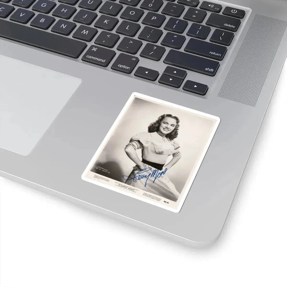 Terry Moore #294 (Vintage Female Icon) STICKER Vinyl Kiss-Cut Decal - The Sticker Space