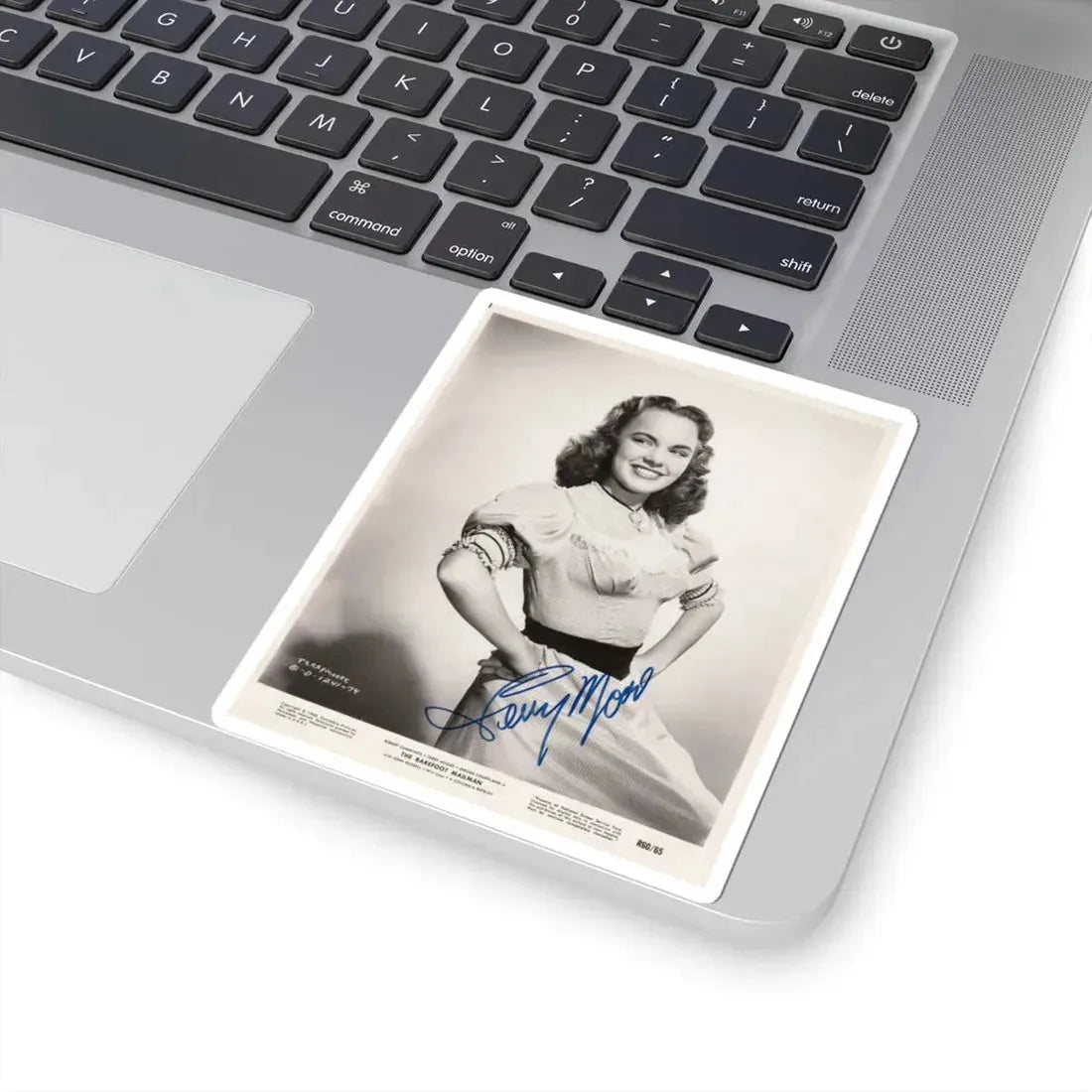 Terry Moore #294 (Vintage Female Icon) STICKER Vinyl Kiss-Cut Decal - The Sticker Space