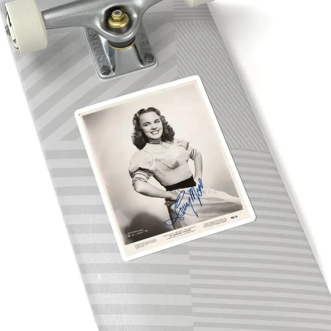 Terry Moore #294 (Vintage Female Icon) STICKER Vinyl Kiss-Cut Decal - The Sticker Space