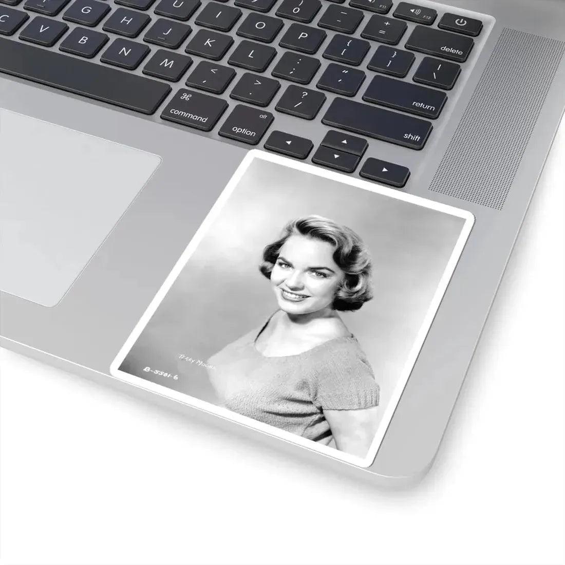 Terry Moore #295 (Vintage Female Icon) STICKER Vinyl Kiss-Cut Decal - The Sticker Space