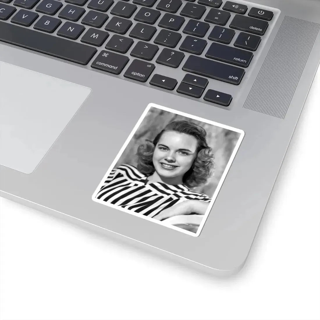 Terry Moore #297 (Vintage Female Icon) STICKER Vinyl Kiss-Cut Decal - The Sticker Space