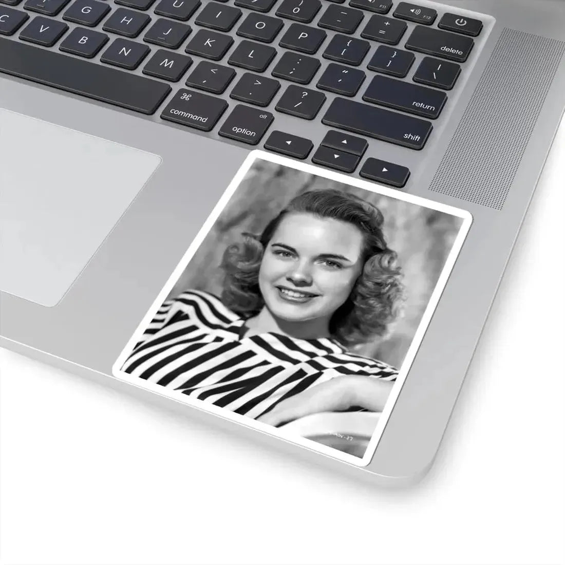 Terry Moore #297 (Vintage Female Icon) STICKER Vinyl Kiss-Cut Decal - The Sticker Space