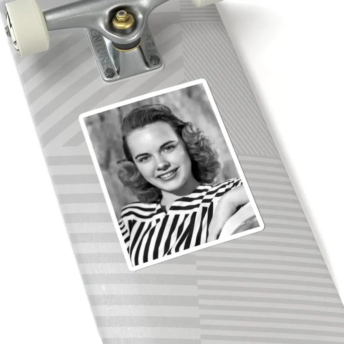 Terry Moore #297 (Vintage Female Icon) STICKER Vinyl Kiss-Cut Decal - The Sticker Space