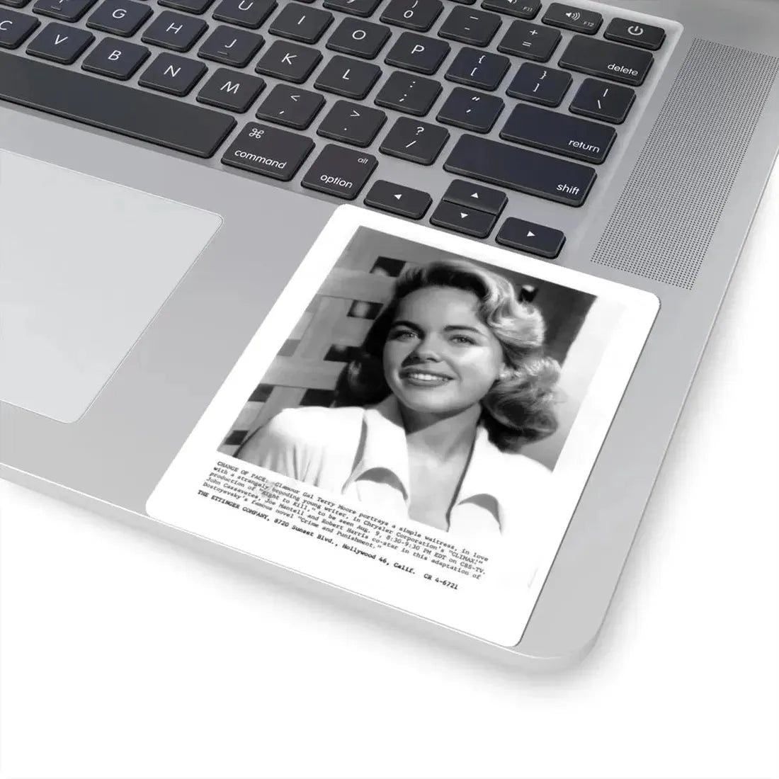 Terry Moore #305 (Vintage Female Icon) STICKER Vinyl Kiss-Cut Decal - The Sticker Space