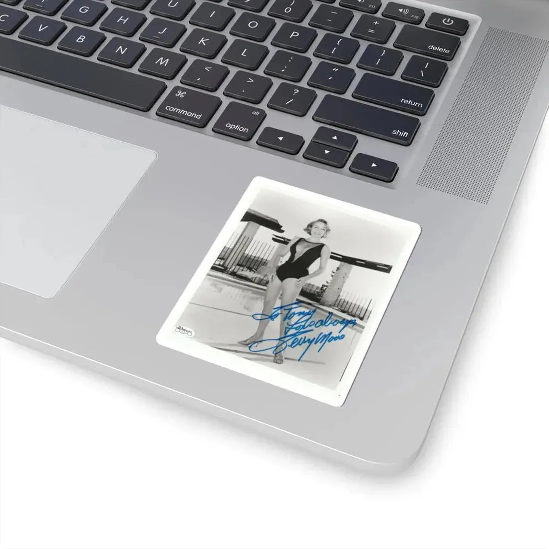 Terry Moore #307 (Vintage Female Icon) STICKER Vinyl Kiss-Cut Decal - The Sticker Space