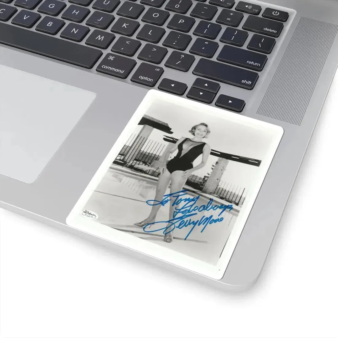 Terry Moore #307 (Vintage Female Icon) STICKER Vinyl Kiss-Cut Decal - The Sticker Space