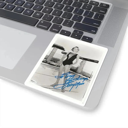 Terry Moore #3072 (Vintage Female Icon) STICKER Vinyl Kiss-Cut Decal - The Sticker Space