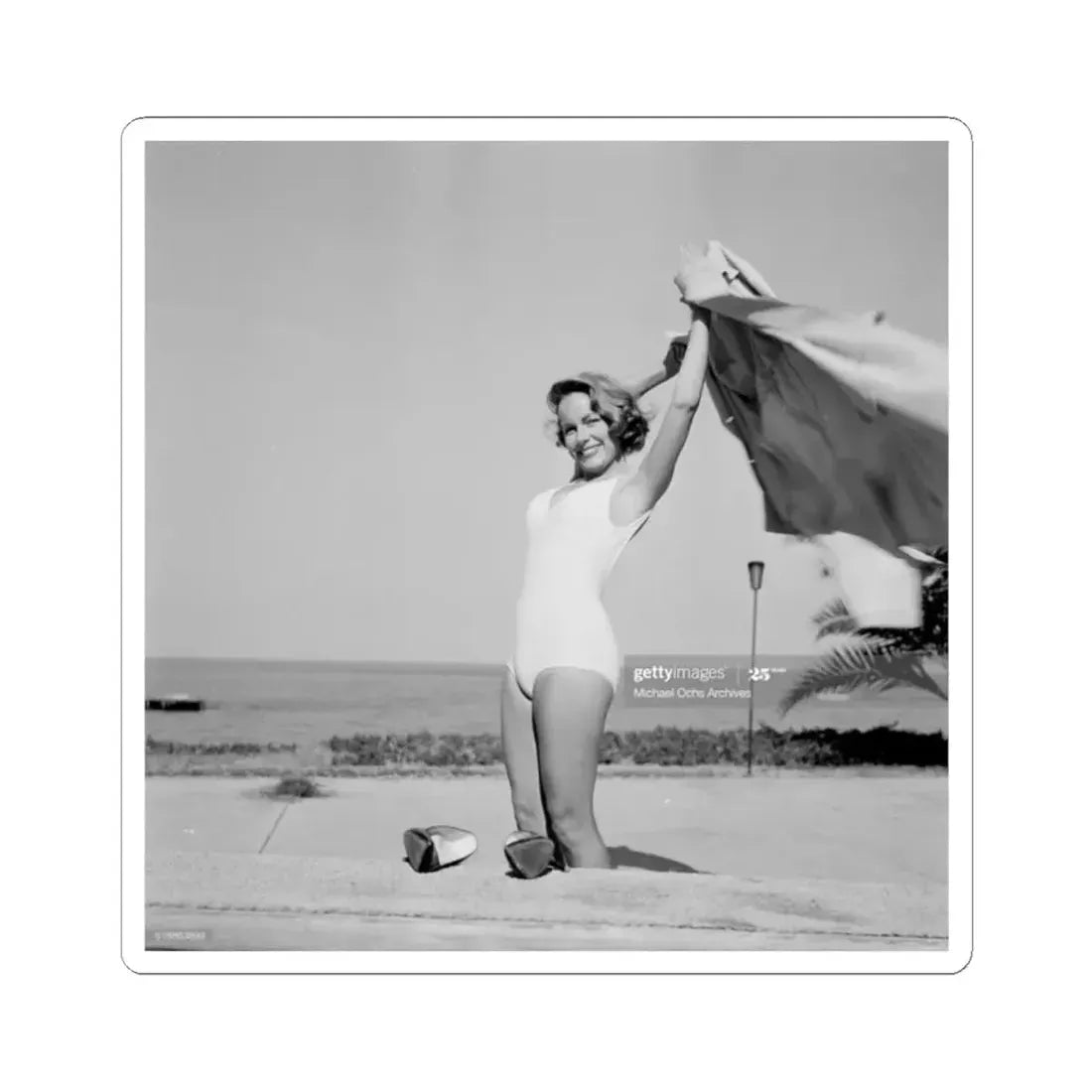 Terry Moore #308 (Vintage Female Icon) STICKER Vinyl Kiss-Cut Decal 2 Inch White - The Sticker Space