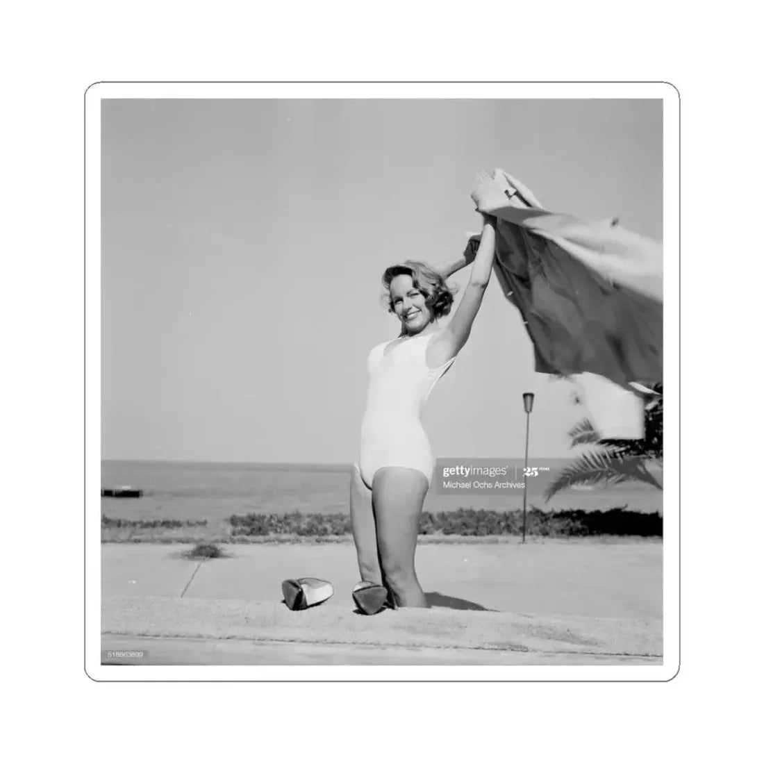 Terry Moore #308 (Vintage Female Icon) STICKER Vinyl Kiss-Cut Decal 4 Inch White - The Sticker Space