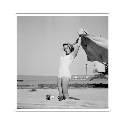 Terry Moore #308 (Vintage Female Icon) STICKER Vinyl Kiss-Cut Decal 6 Inch White - The Sticker Space