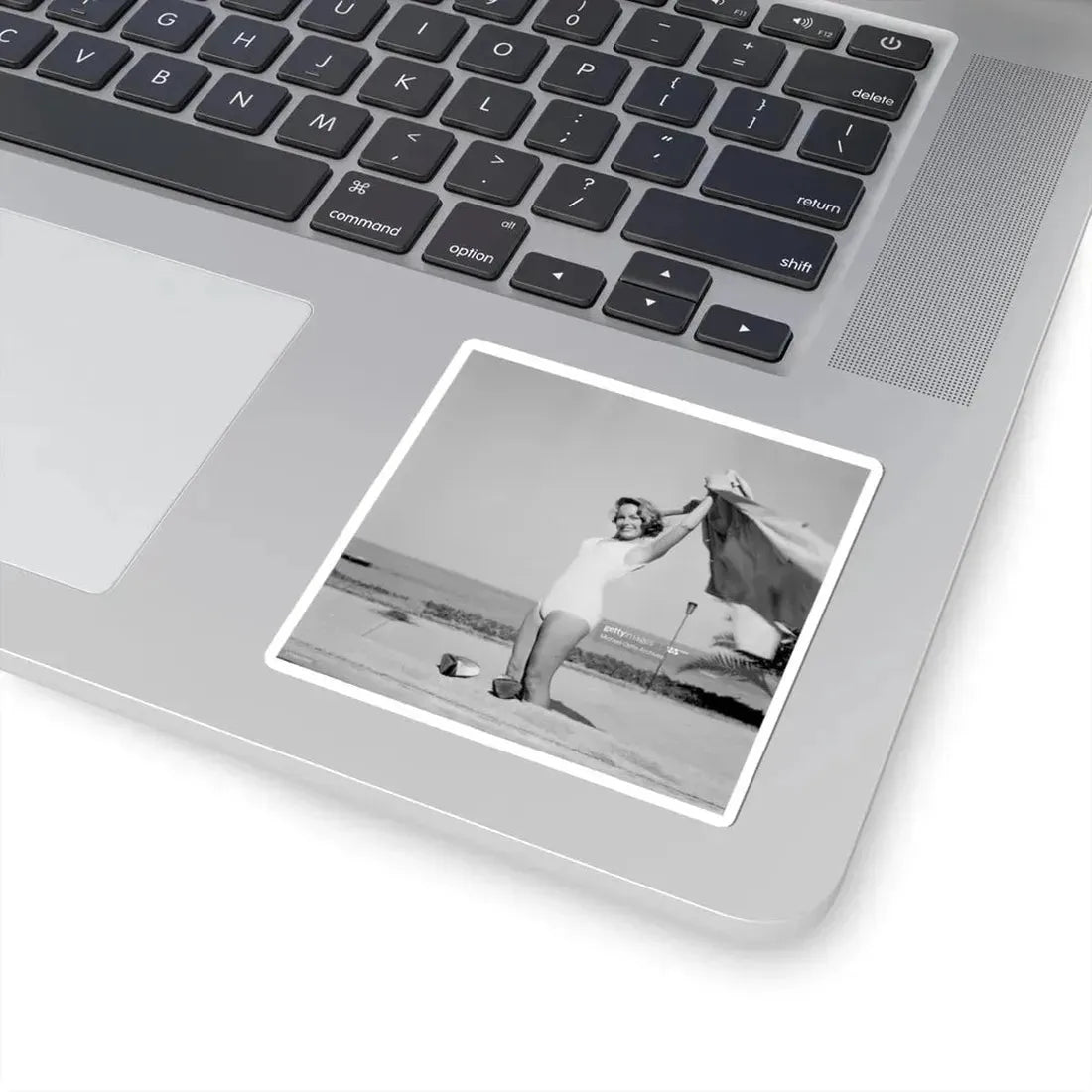 Terry Moore #308 (Vintage Female Icon) STICKER Vinyl Kiss-Cut Decal - The Sticker Space