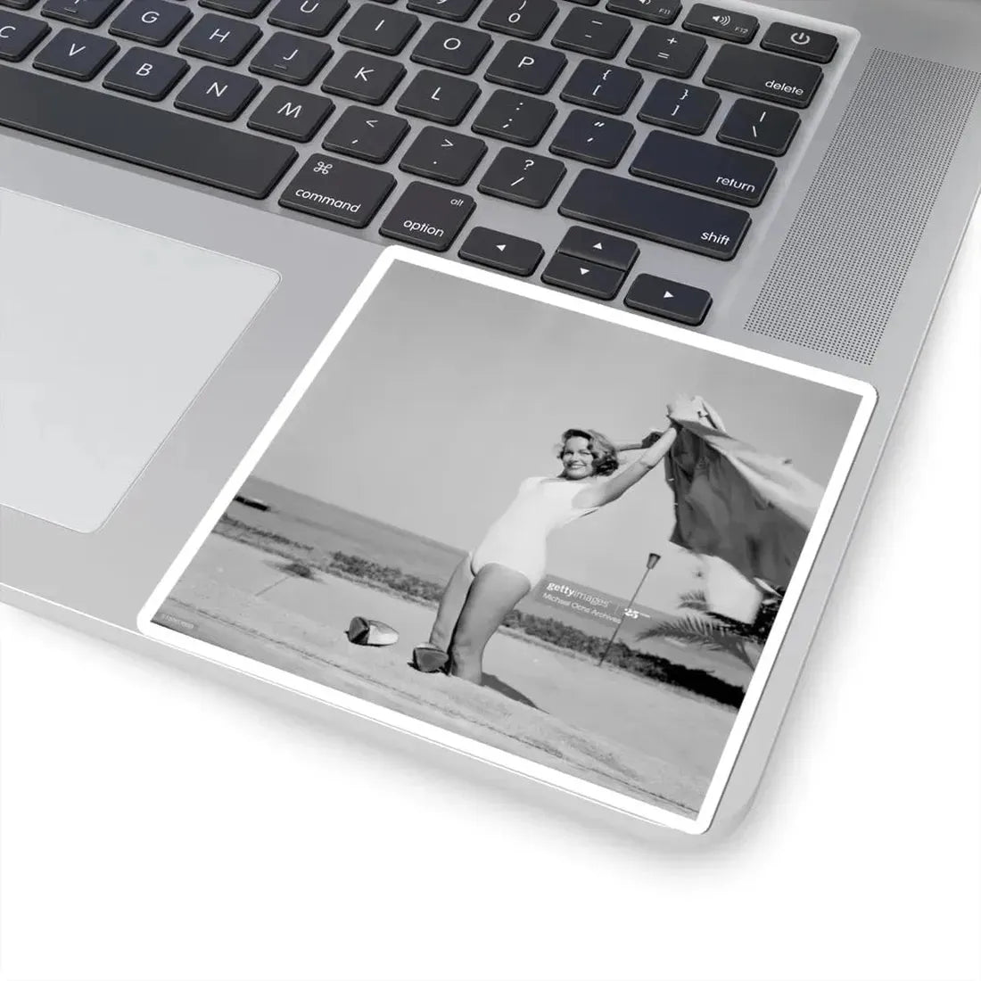 Terry Moore #308 (Vintage Female Icon) STICKER Vinyl Kiss-Cut Decal - The Sticker Space