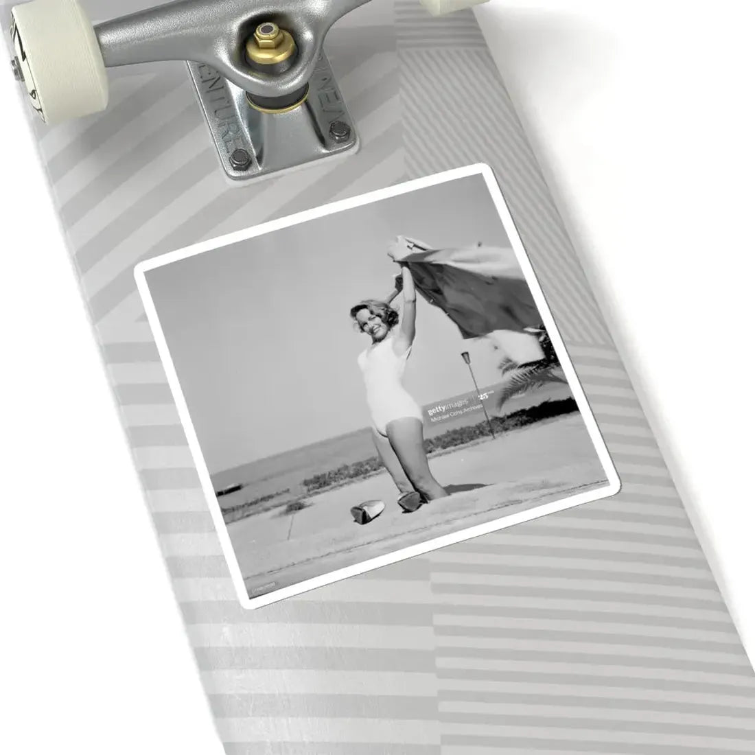 Terry Moore #308 (Vintage Female Icon) STICKER Vinyl Kiss-Cut Decal - The Sticker Space