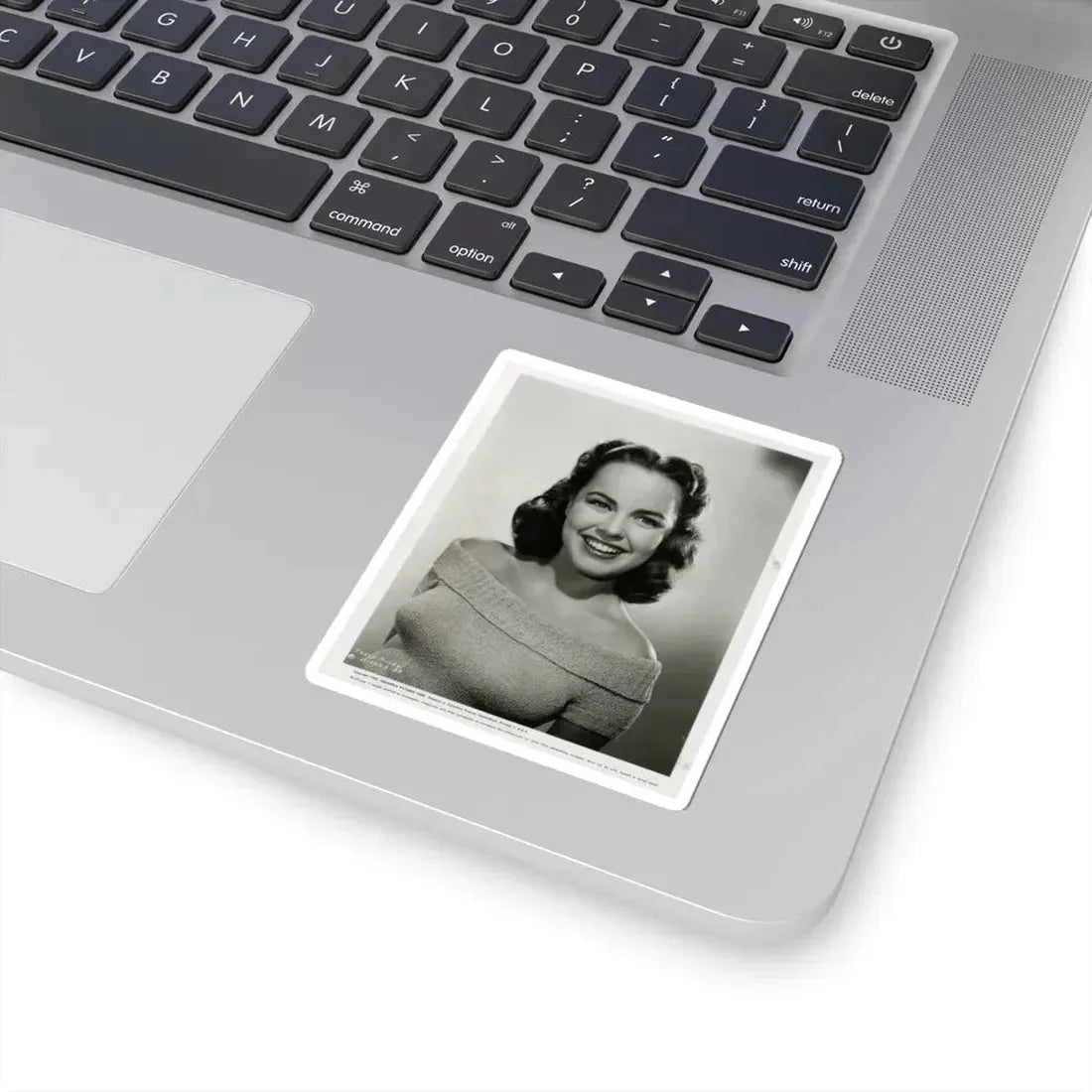 Terry Moore #310 (Vintage Female Icon) STICKER Vinyl Kiss-Cut Decal - The Sticker Space