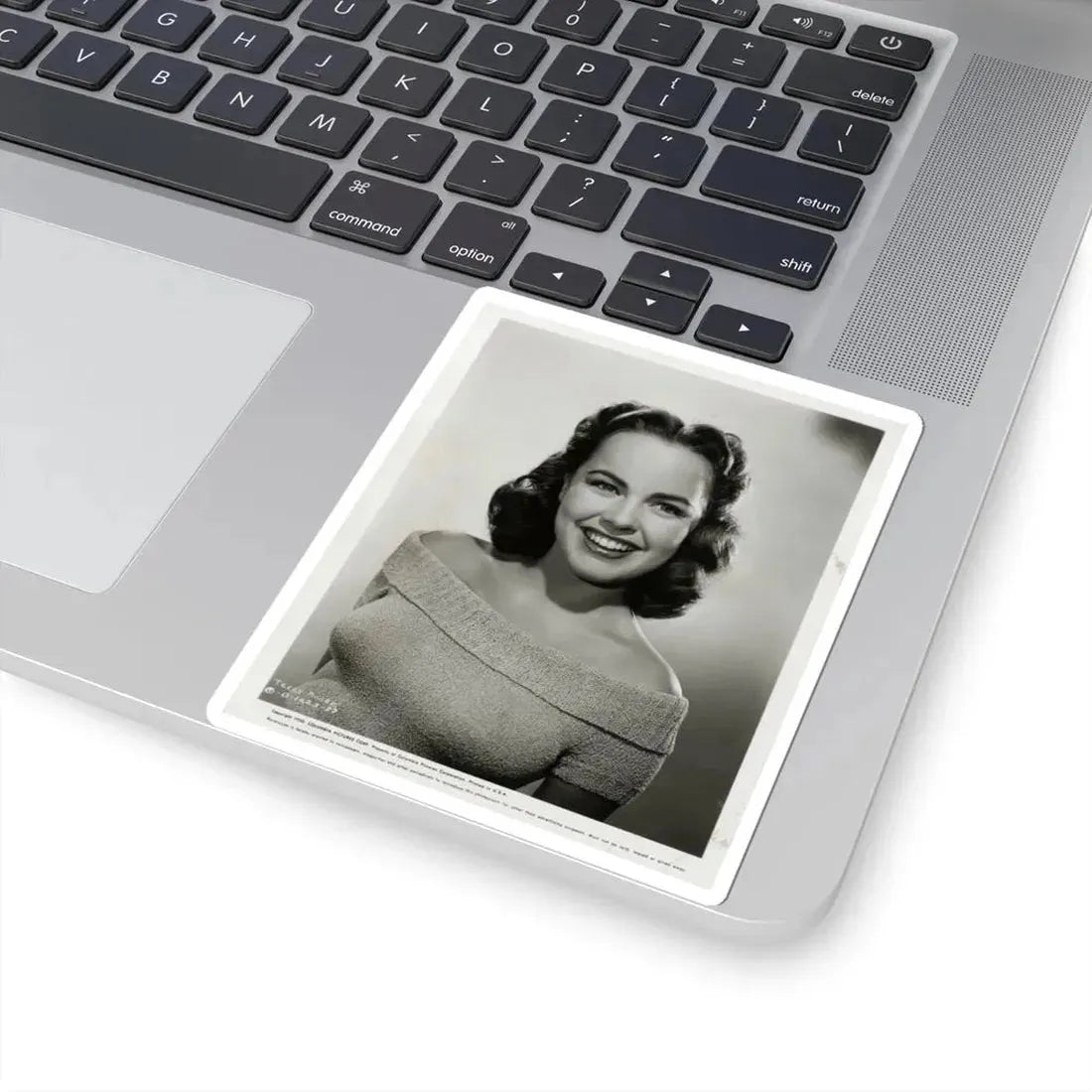 Terry Moore #310 (Vintage Female Icon) STICKER Vinyl Kiss-Cut Decal - The Sticker Space