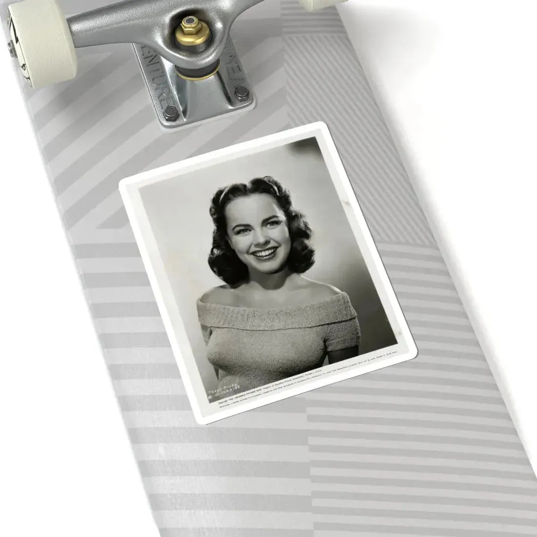 Terry Moore #310 (Vintage Female Icon) STICKER Vinyl Kiss-Cut Decal - The Sticker Space