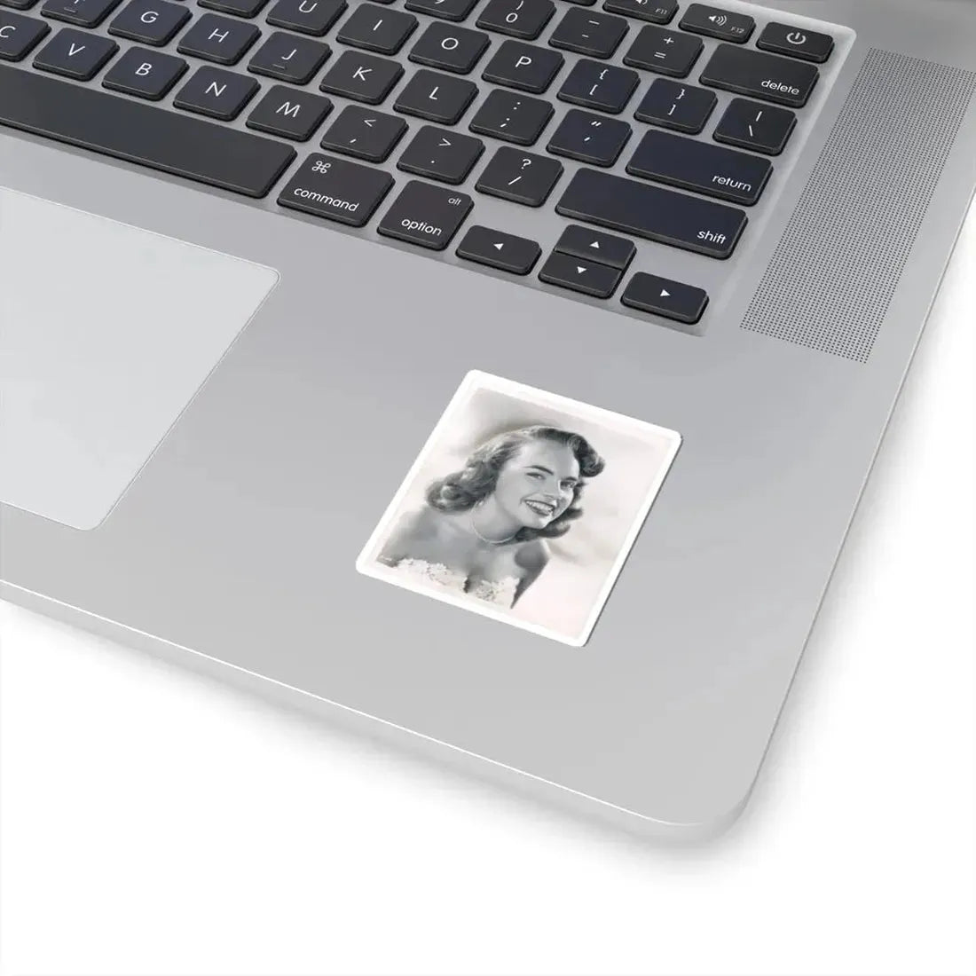 Terry Moore #311 (Vintage Female Icon) STICKER Vinyl Kiss-Cut Decal - The Sticker Space