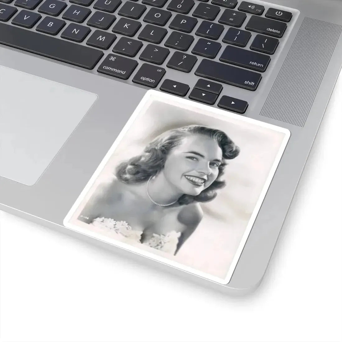 Terry Moore #311 (Vintage Female Icon) STICKER Vinyl Kiss-Cut Decal - The Sticker Space