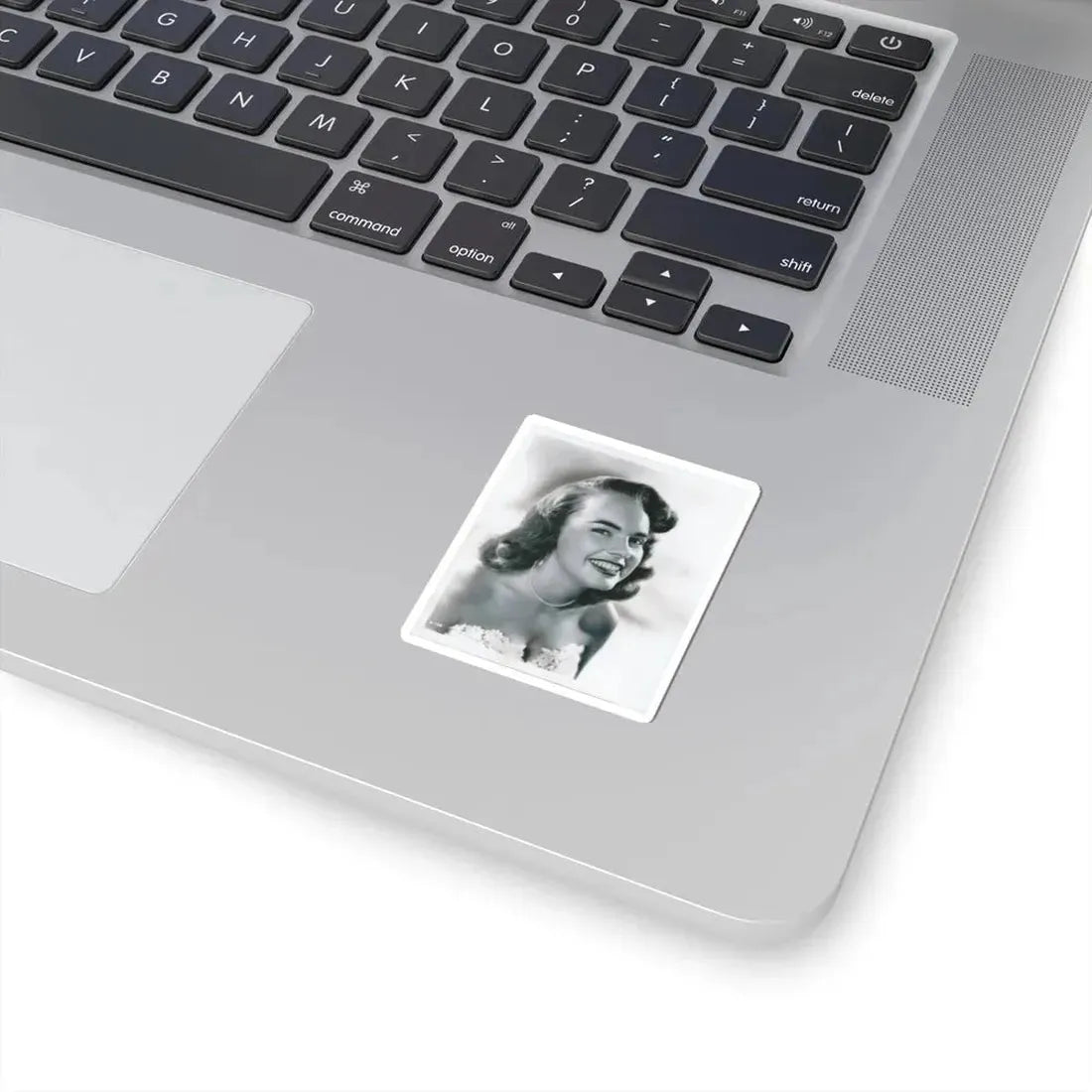 Terry Moore #3111 (Vintage Female Icon) STICKER Vinyl Kiss-Cut Decal - The Sticker Space