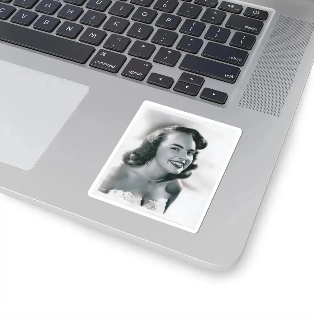 Terry Moore #3111 (Vintage Female Icon) STICKER Vinyl Kiss-Cut Decal - The Sticker Space