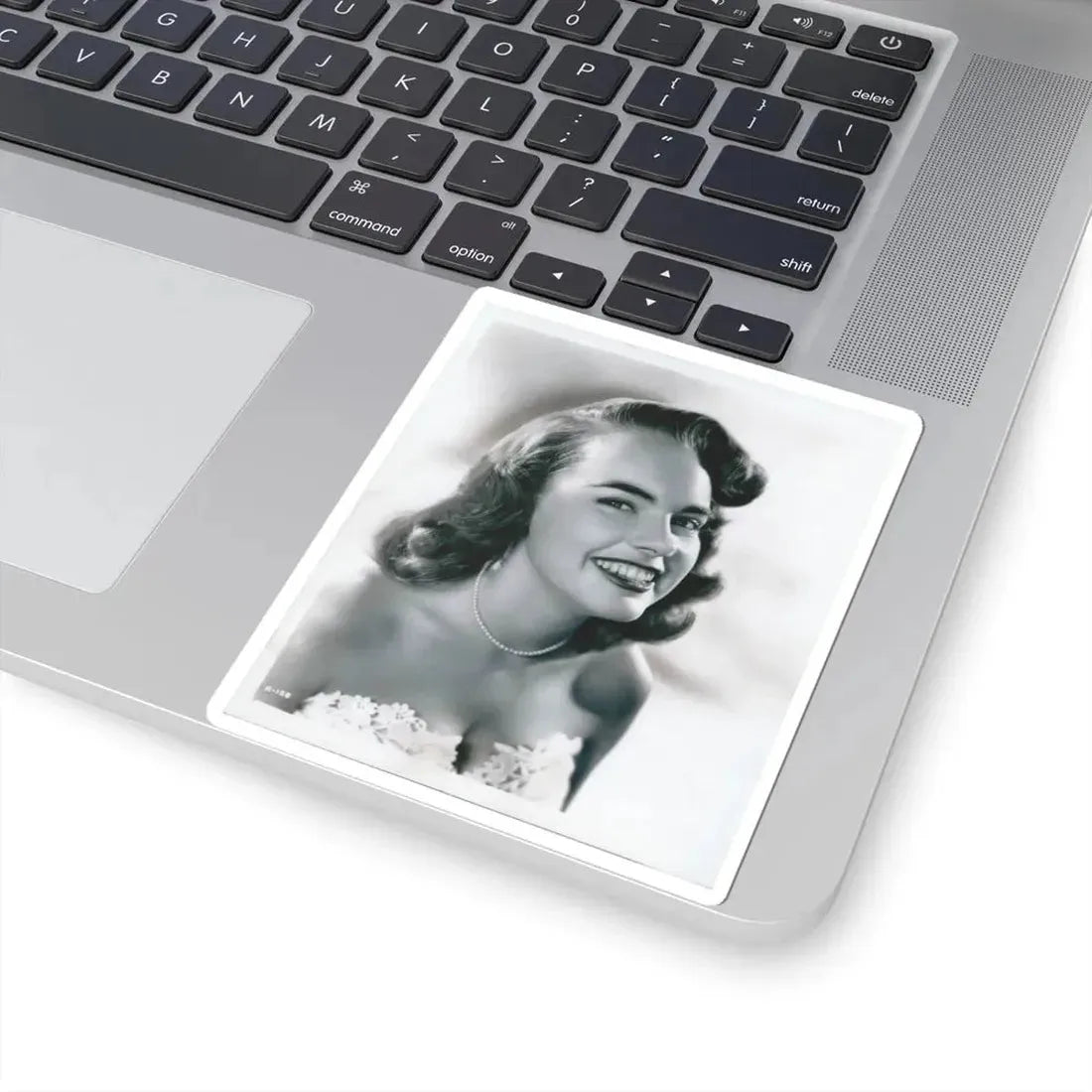 Terry Moore #3111 (Vintage Female Icon) STICKER Vinyl Kiss-Cut Decal - The Sticker Space