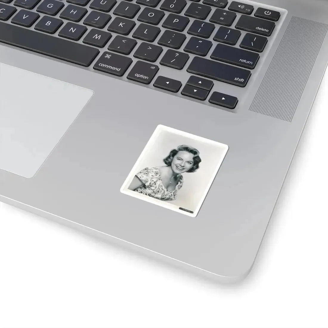 Terry Moore #312 (Vintage Female Icon) STICKER Vinyl Kiss-Cut Decal - The Sticker Space