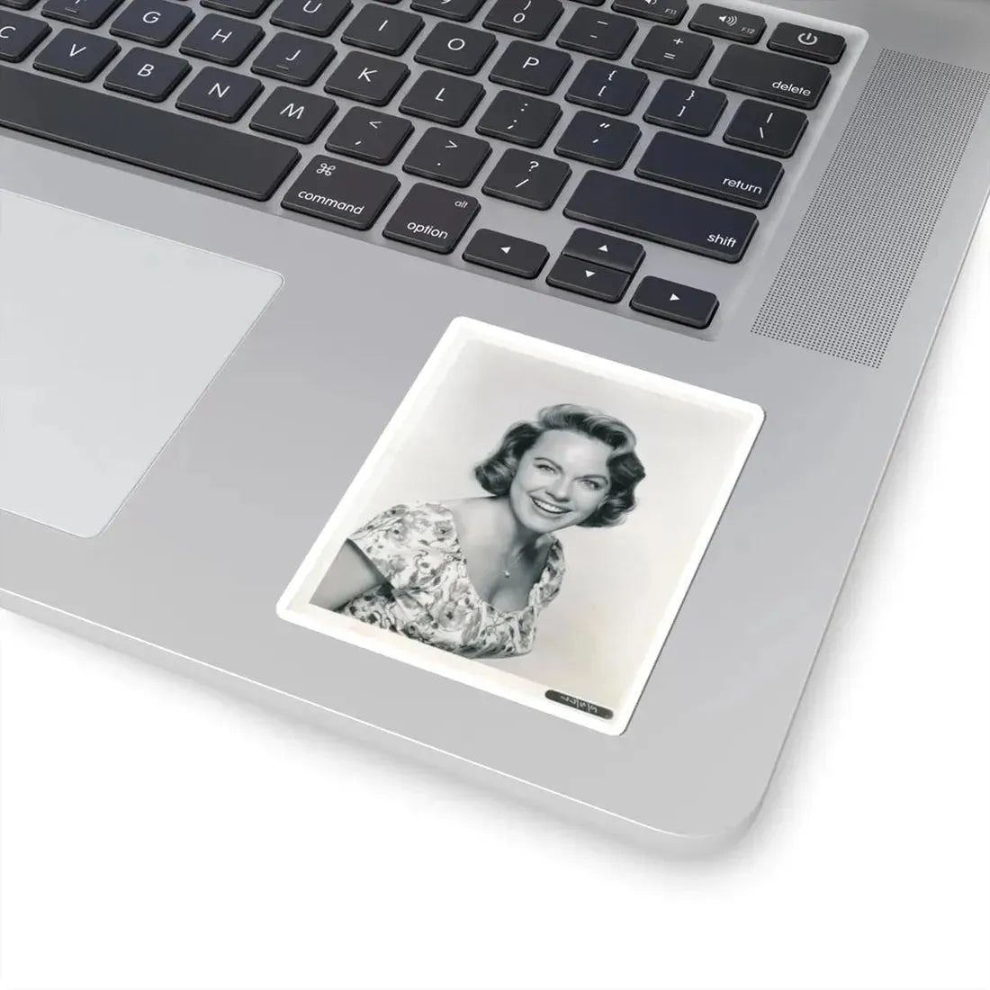 Terry Moore #312 (Vintage Female Icon) STICKER Vinyl Kiss-Cut Decal - The Sticker Space