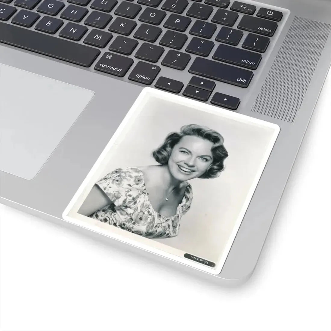 Terry Moore #312 (Vintage Female Icon) STICKER Vinyl Kiss-Cut Decal - The Sticker Space