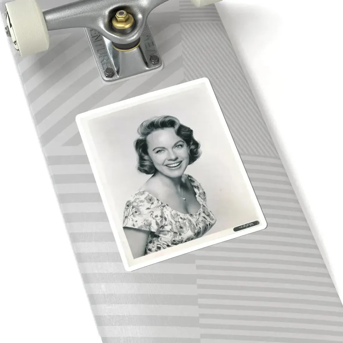 Terry Moore #312 (Vintage Female Icon) STICKER Vinyl Kiss-Cut Decal - The Sticker Space