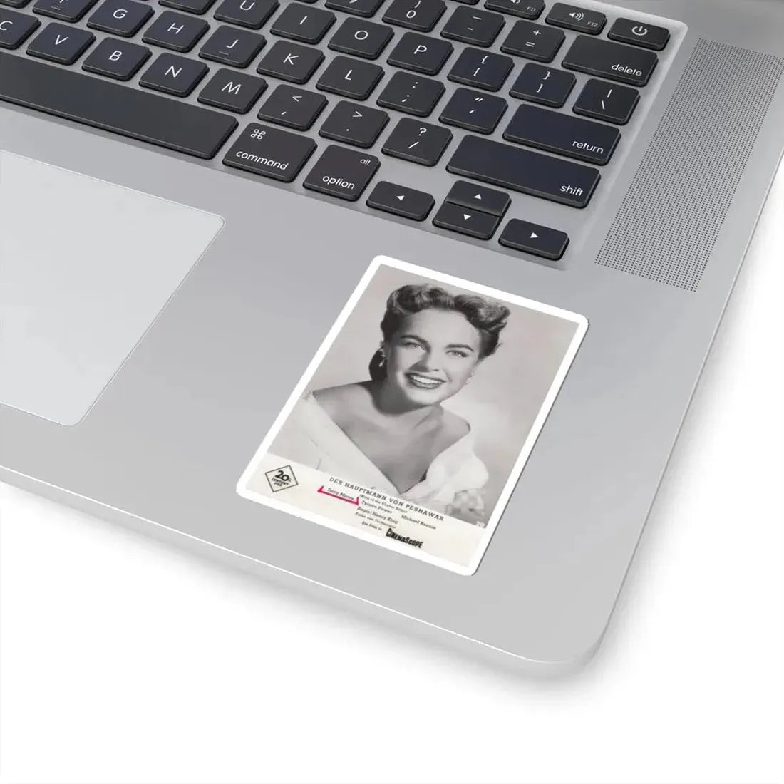 Terry Moore #316 (Vintage Female Icon) STICKER Vinyl Kiss-Cut Decal - The Sticker Space