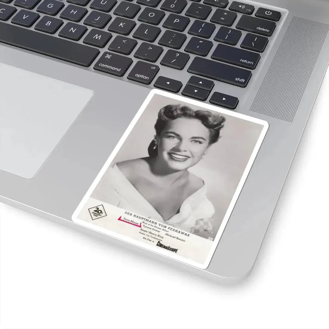 Terry Moore #316 (Vintage Female Icon) STICKER Vinyl Kiss-Cut Decal - The Sticker Space