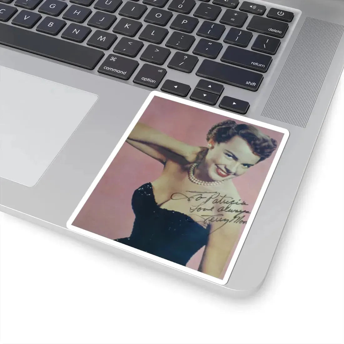 Terry Moore #323 (Vintage Female Icon) STICKER Vinyl Kiss-Cut Decal - The Sticker Space