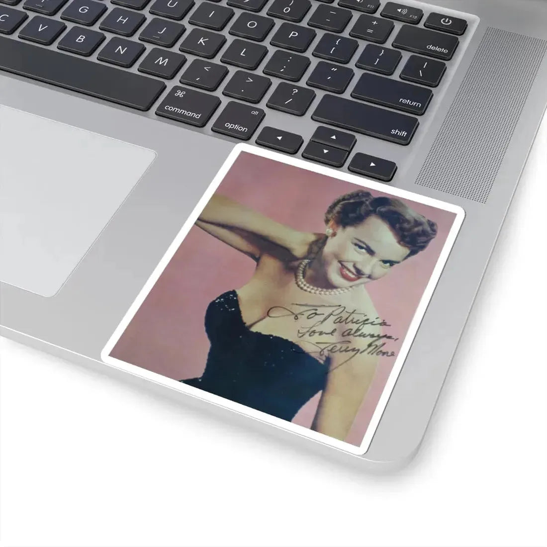 Terry Moore #3231 (Vintage Female Icon) STICKER Vinyl Kiss-Cut Decal - The Sticker Space