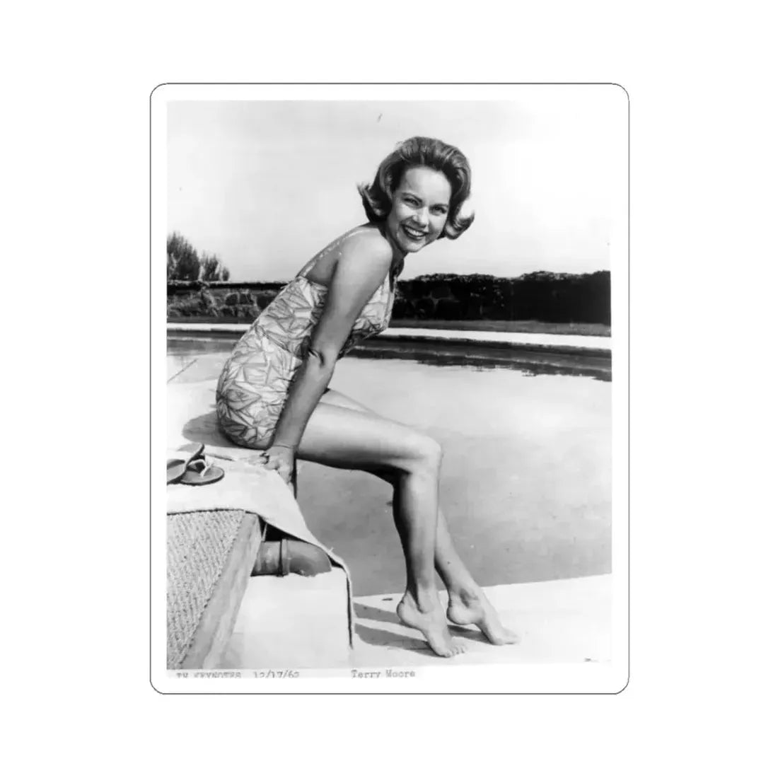 Terry Moore #326 (Vintage Female Icon) STICKER Vinyl Kiss-Cut Decal 3 Inch White - The Sticker Space