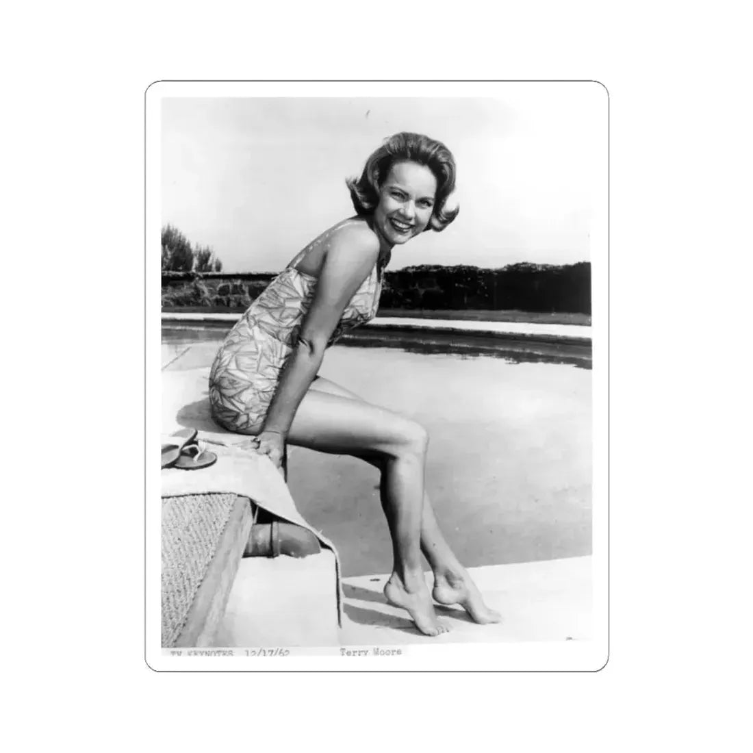 Terry Moore #326 (Vintage Female Icon) STICKER Vinyl Kiss-Cut Decal 4 Inch White - The Sticker Space