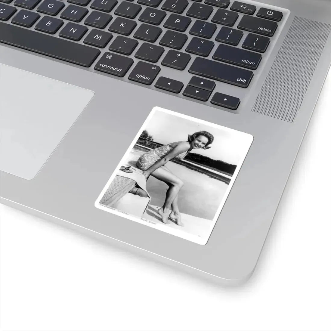 Terry Moore #326 (Vintage Female Icon) STICKER Vinyl Kiss-Cut Decal - The Sticker Space