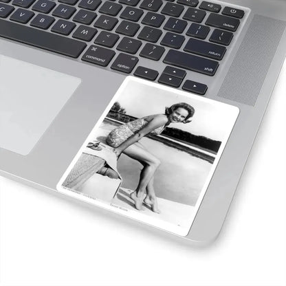 Terry Moore #326 (Vintage Female Icon) STICKER Vinyl Kiss-Cut Decal - The Sticker Space
