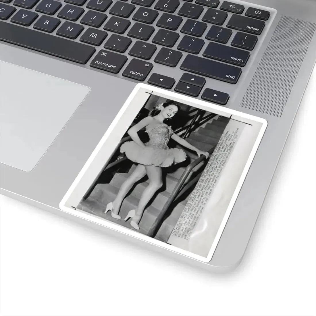 Terry Moore #338 (Vintage Female Icon) STICKER Vinyl Kiss-Cut Decal - The Sticker Space