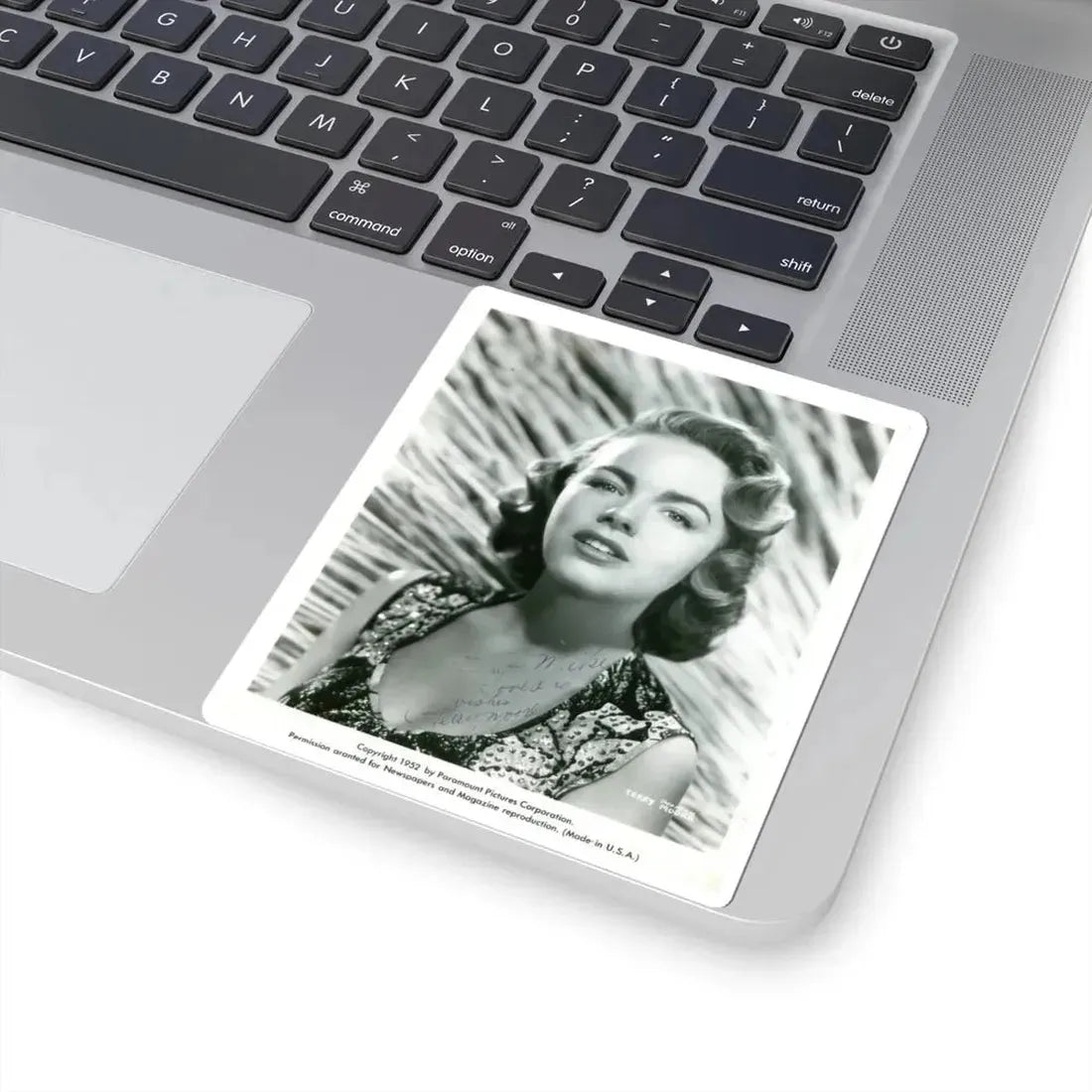 Terry Moore #339 (Vintage Female Icon) STICKER Vinyl Kiss-Cut Decal - The Sticker Space
