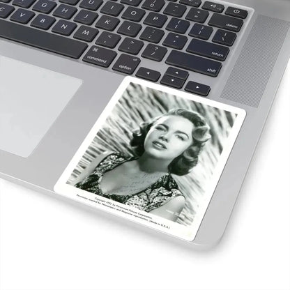 Terry Moore #339 (Vintage Female Icon) STICKER Vinyl Kiss-Cut Decal - The Sticker Space