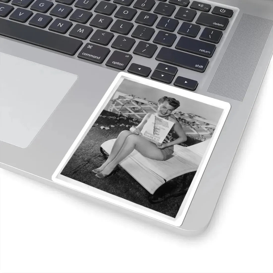 Terry Moore #343 (Vintage Female Icon) STICKER Vinyl Kiss-Cut Decal - The Sticker Space