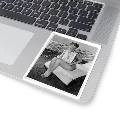 Terry Moore #343 (Vintage Female Icon) STICKER Vinyl Kiss-Cut Decal - The Sticker Space