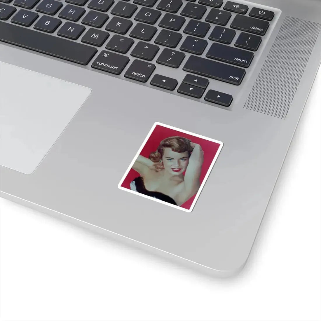 Terry Moore #349 (Vintage Female Icon) STICKER Vinyl Kiss-Cut Decal - The Sticker Space