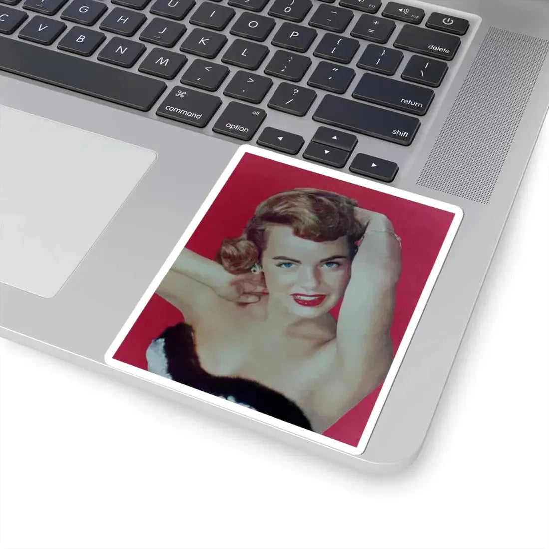 Terry Moore #349 (Vintage Female Icon) STICKER Vinyl Kiss-Cut Decal - The Sticker Space