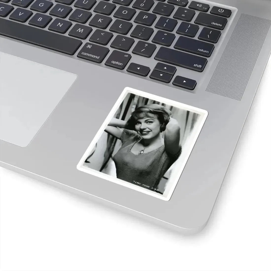 Terry Moore #357 (Vintage Female Icon) STICKER Vinyl Kiss-Cut Decal - The Sticker Space