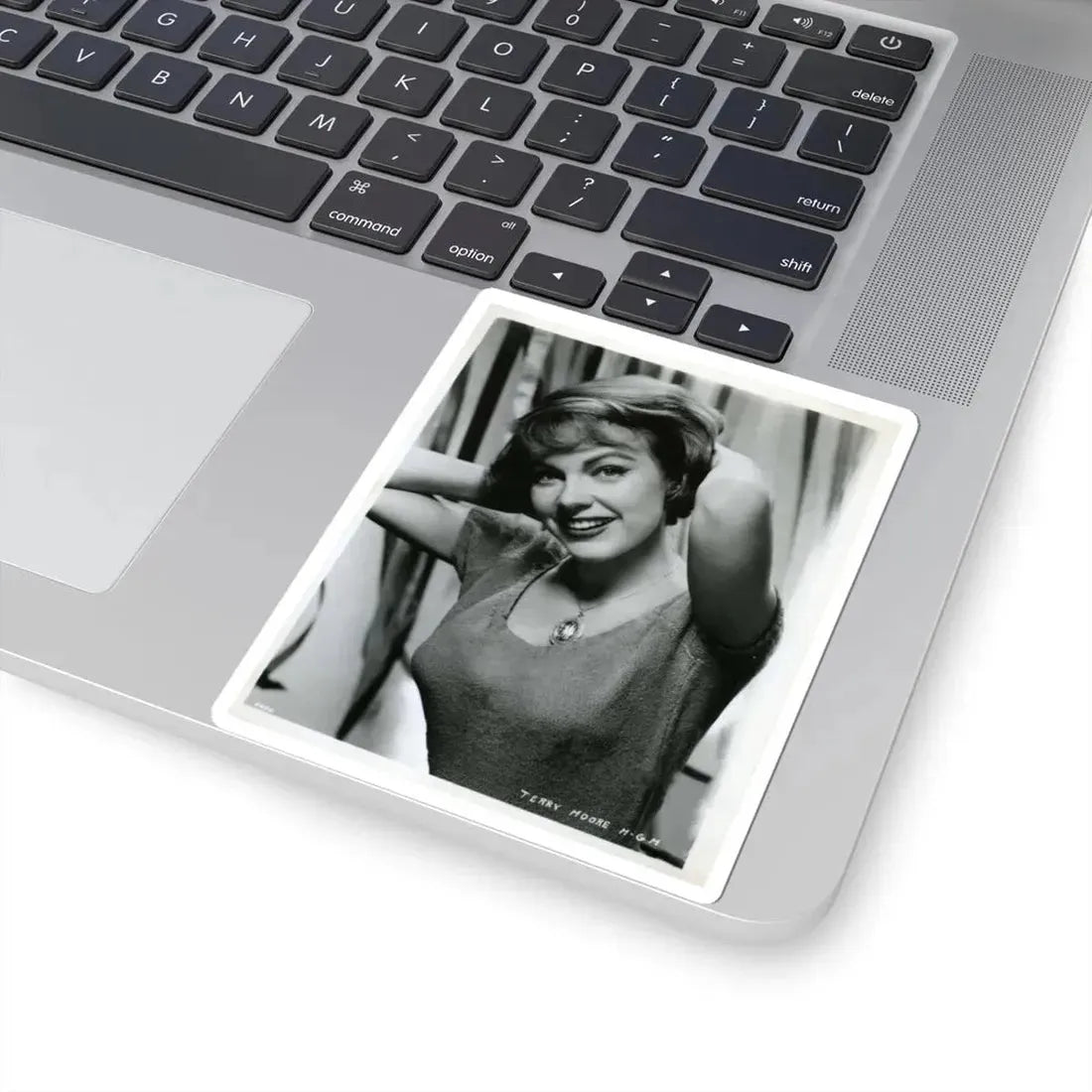 Terry Moore #357 (Vintage Female Icon) STICKER Vinyl Kiss-Cut Decal - The Sticker Space