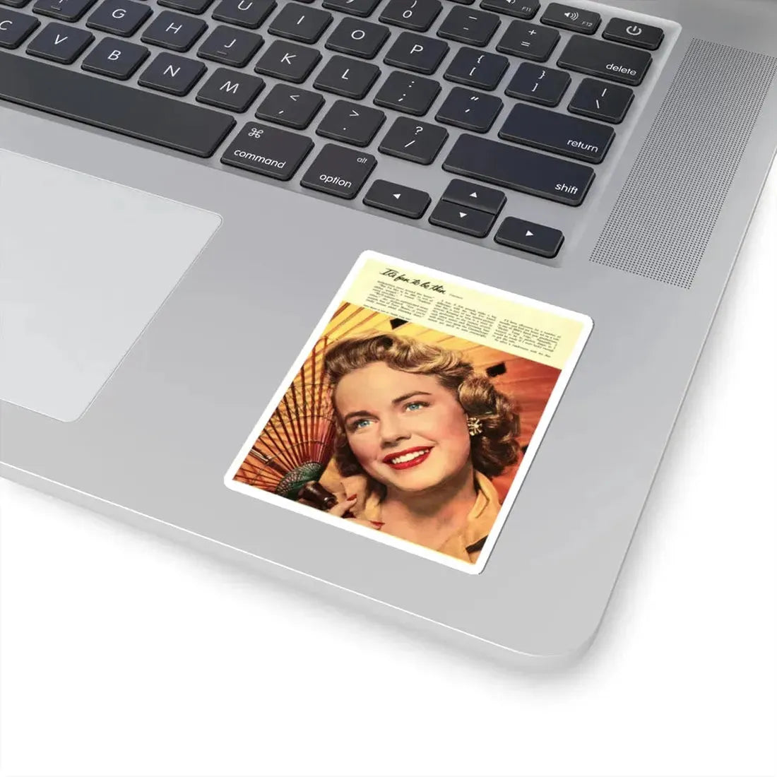 Terry Moore #420 (Vintage Female Icon) STICKER Vinyl Kiss-Cut Decal - The Sticker Space