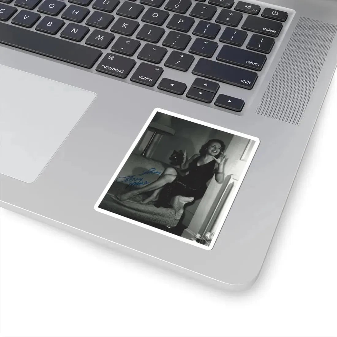 Terry Moore #424 (Vintage Female Icon) STICKER Vinyl Kiss-Cut Decal - The Sticker Space